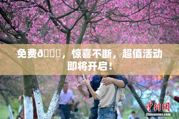 免费🔞，惊喜不断，超值活动即将开启！