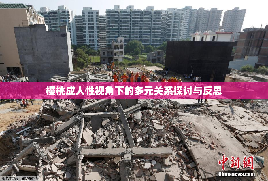 樱桃成人性视角下的多元关系探讨与反思