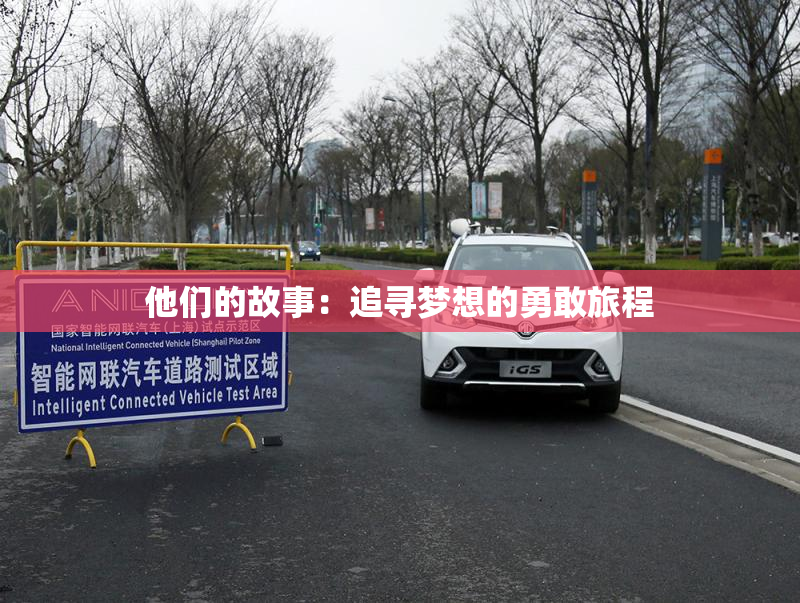 他们的故事：追寻梦想的勇敢旅程