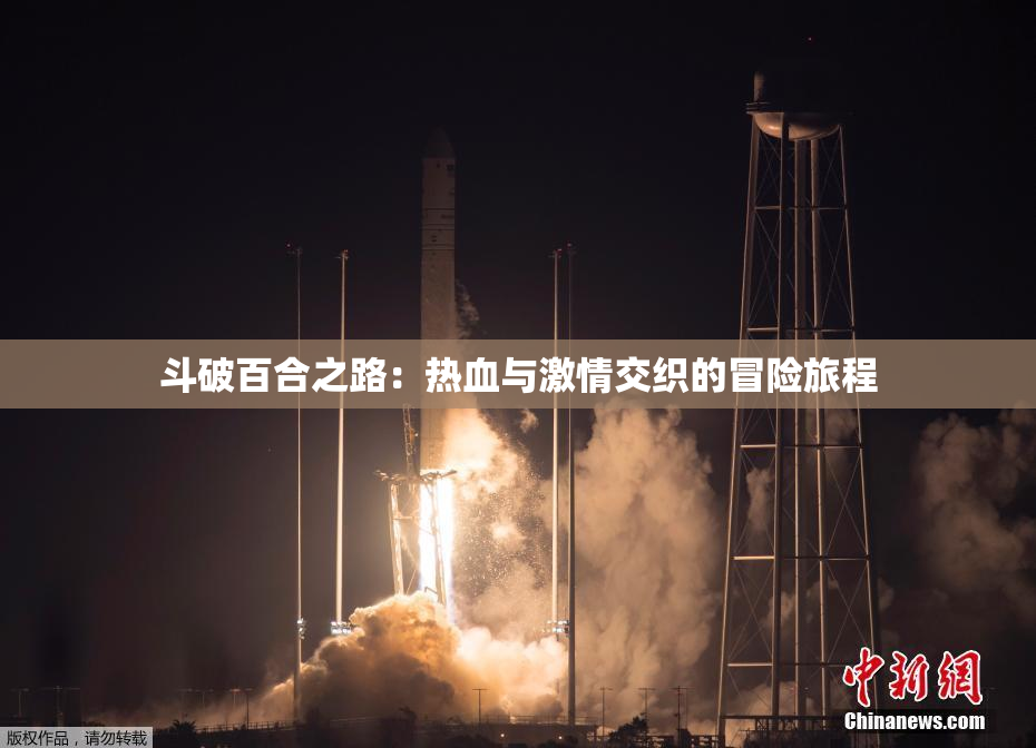 斗破百合之路：热血与激情交织的冒险旅程