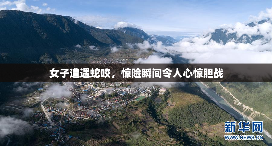 女子遭遇蛇咬，惊险瞬间令人心惊胆战