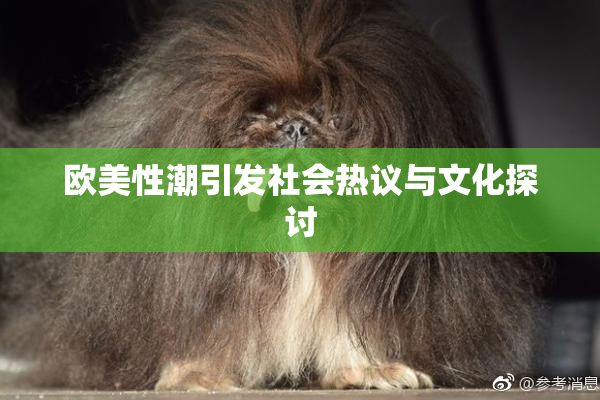 欧美性潮引发社会热议与文化探讨