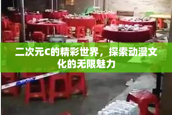 二次元C的精彩世界，探索动漫文化的无限魅力