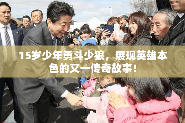 15岁少年勇斗少狼，展现英雄本色的又一传奇故事！
