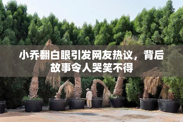 小乔翻白眼引发网友热议，背后故事令人哭笑不得