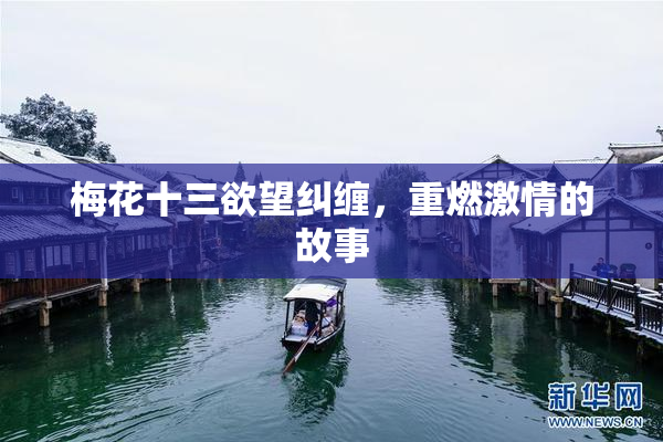 梅花十三欲望纠缠，重燃激情的故事