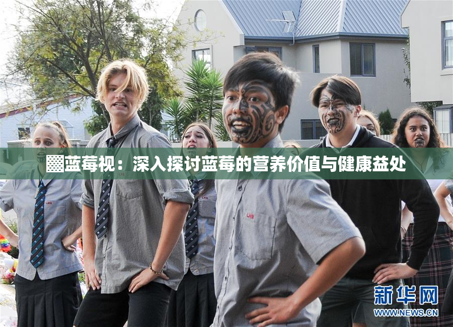 ▓蓝莓视：深入探讨蓝莓的营养价值与健康益处
