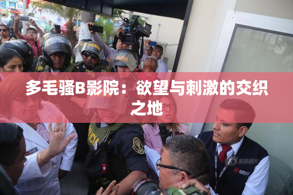多毛骚B影院：欲望与刺激的交织之地
