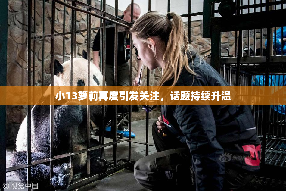 小13箩莉再度引发关注，话题持续升温