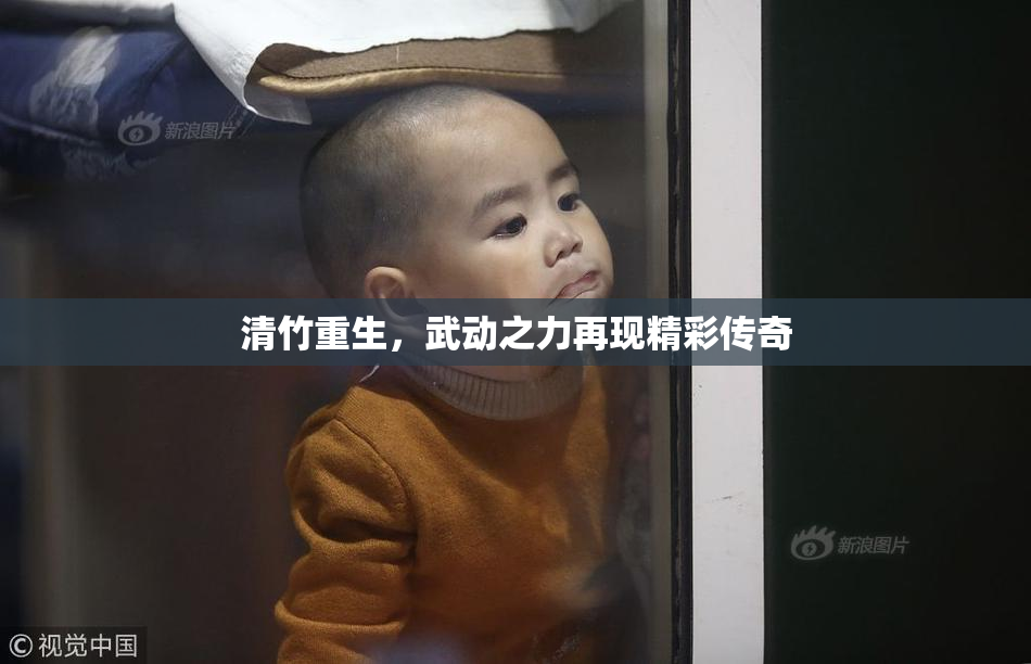 清竹重生，武动之力再现精彩传奇
