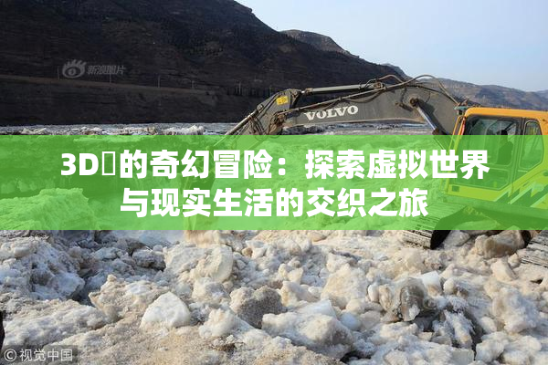 3D姉的奇幻冒险：探索虚拟世界与现实生活的交织之旅