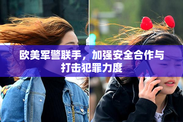 欧美军警联手，加强安全合作与打击犯罪力度