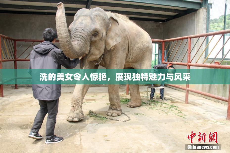 洗的美女令人惊艳，展现独特魅力与风采