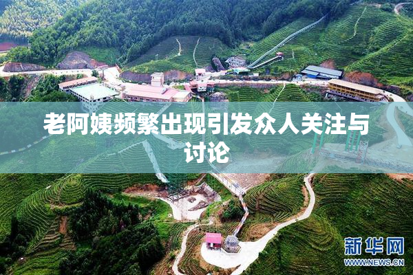 老阿姨频繁出现引发众人关注与讨论