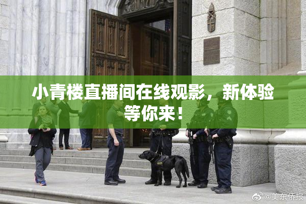 小青楼直播间在线观影，新体验等你来！