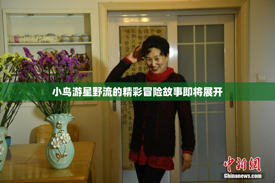 小鸟游星野流的精彩冒险故事即将展开