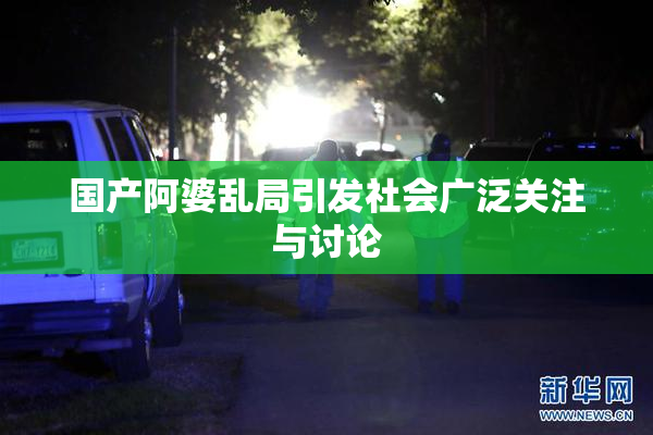 国产阿婆乱局引发社会广泛关注与讨论