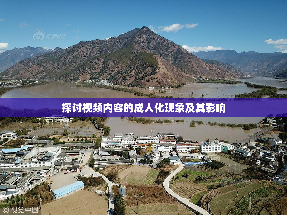 探讨视频内容的成人化现象及其影响