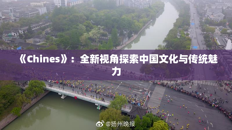 《Chines》：全新视角探索中国文化与传统魅力