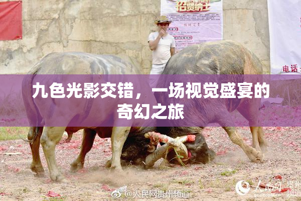九色光影交错，一场视觉盛宴的奇幻之旅