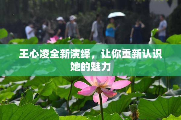 王心凌全新演绎，让你重新认识她的魅力