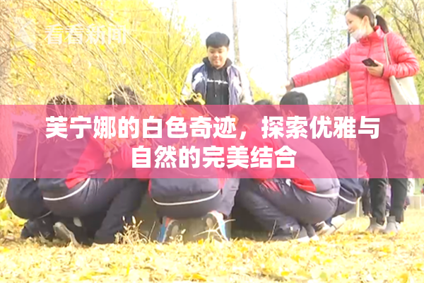 芙宁娜的白色奇迹，探索优雅与自然的完美结合