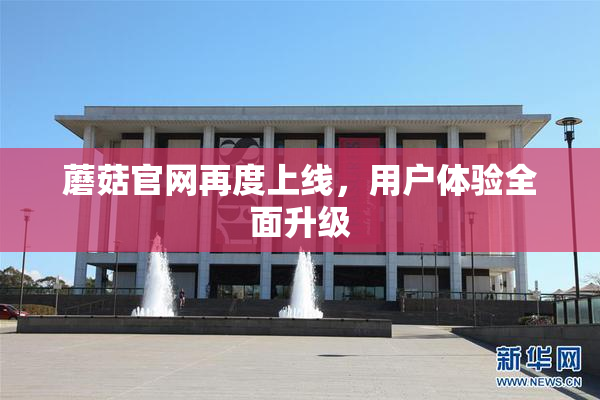 蘑菇官网再度上线，用户体验全面升级
