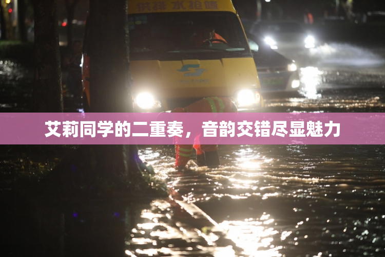 艾莉同学的二重奏，音韵交错尽显魅力