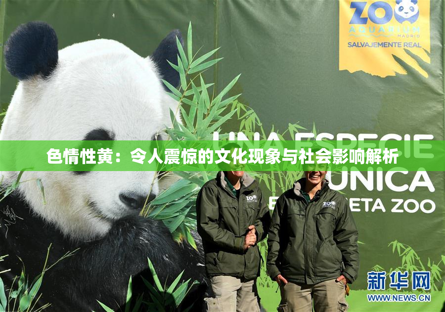 色情性黄：令人震惊的文化现象与社会影响解析