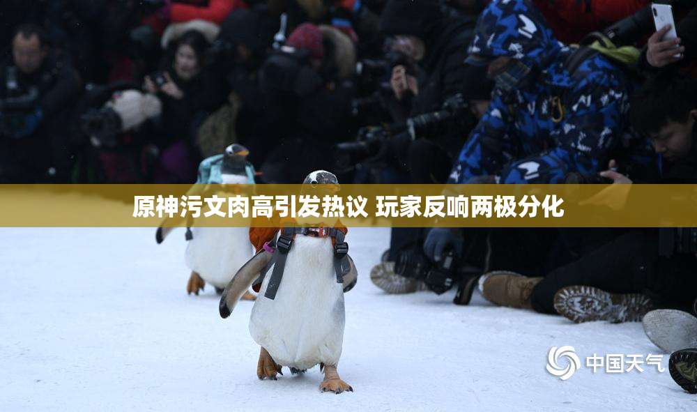 原神污文肉高引发热议 玩家反响两极分化