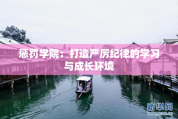 惩罚学院：打造严厉纪律的学习与成长环境