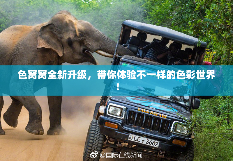 色窝窝全新升级，带你体验不一样的色彩世界！