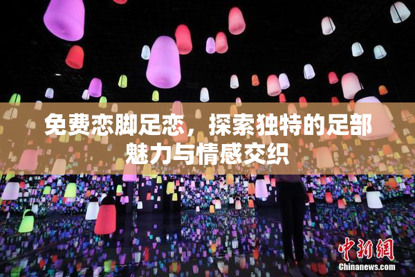 免费恋脚足恋，探索独特的足部魅力与情感交织