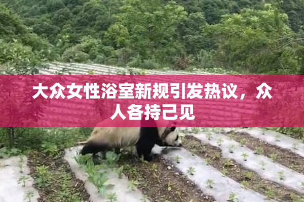 大众女性浴室新规引发热议，众人各持己见