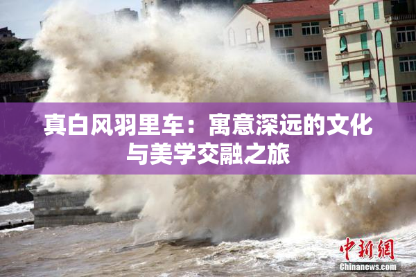 真白风羽里车：寓意深远的文化与美学交融之旅