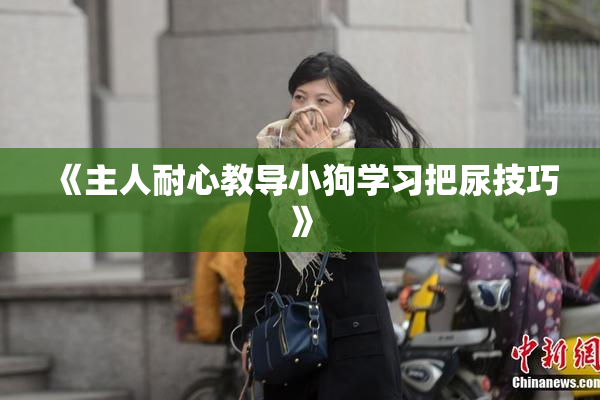 《主人耐心教导小狗学习把尿技巧》