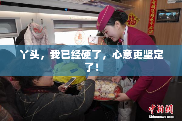 丫头，我已经硬了，心意更坚定了！