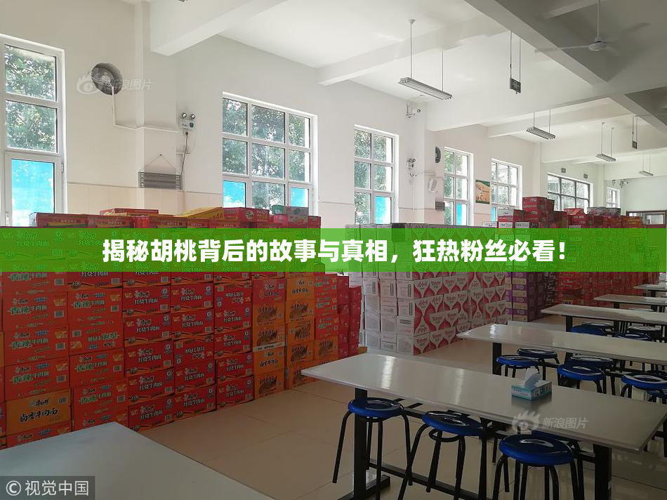 揭秘胡桃背后的故事与真相，狂热粉丝必看！