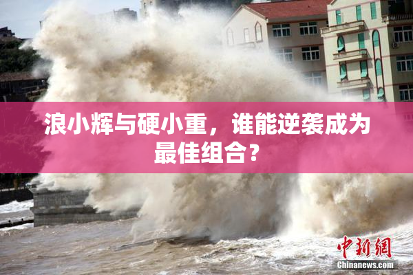 浪小辉与硬小重，谁能逆袭成为最佳组合？