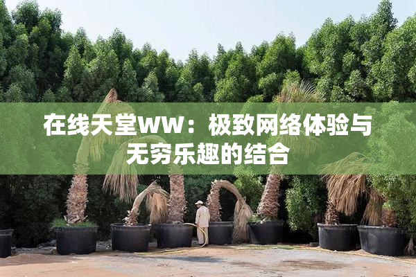 在线天堂WW：极致网络体验与无穷乐趣的结合