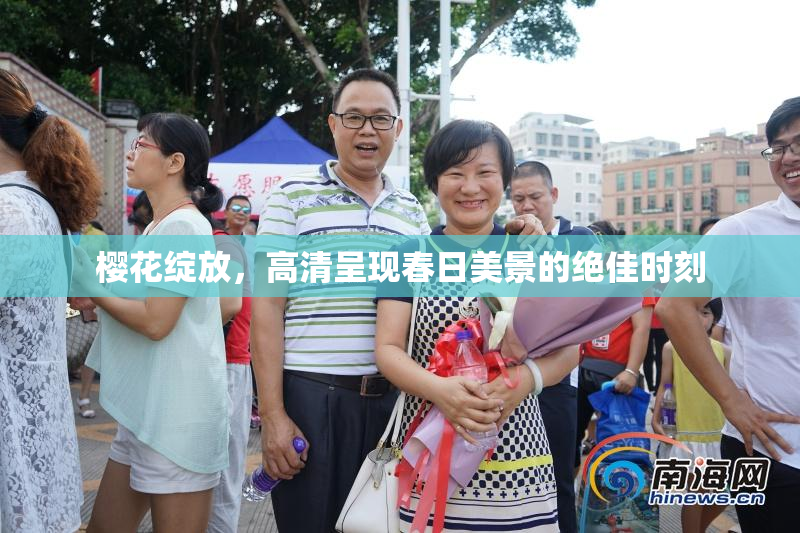 樱花绽放，高清呈现春日美景的绝佳时刻