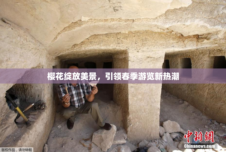 樱花绽放美景，引领春季游览新热潮