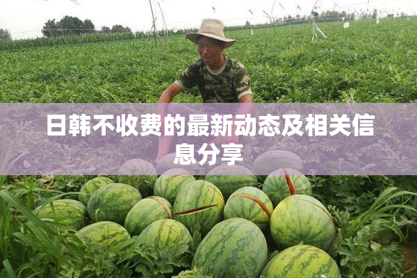 日韩不收费的最新动态及相关信息分享