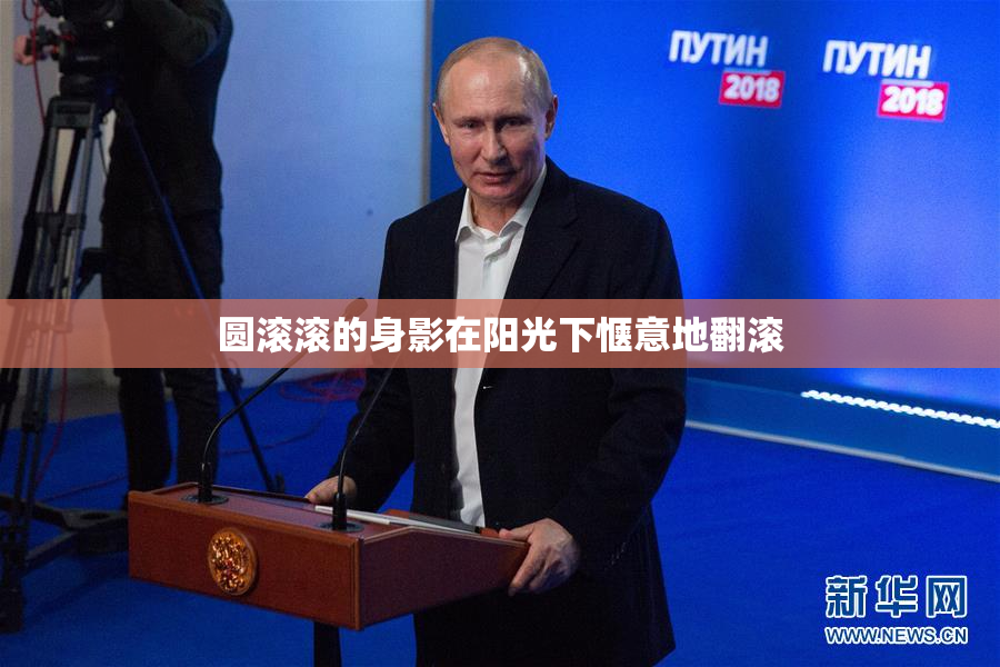 圆滚滚的身影在阳光下惬意地翻滚
