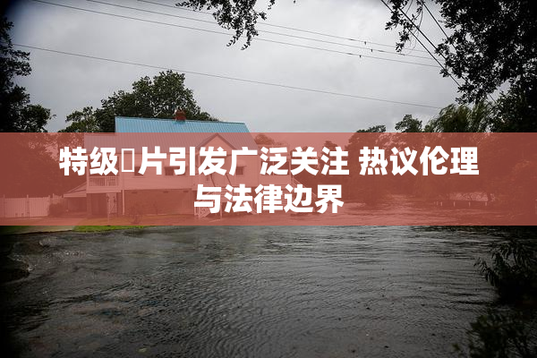 特级婬片引发广泛关注 热议伦理与法律边界