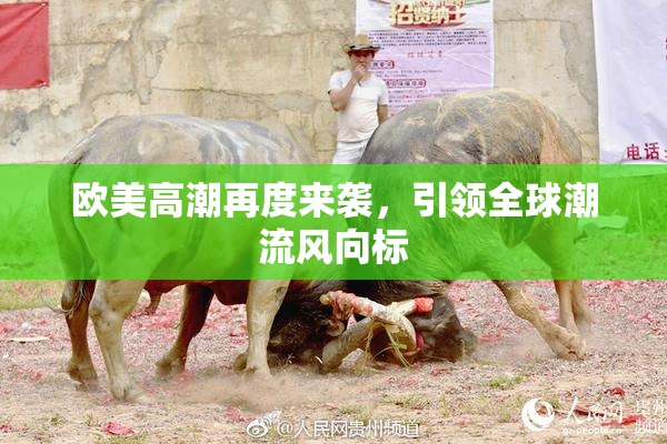 欧美高潮再度来袭，引领全球潮流风向标