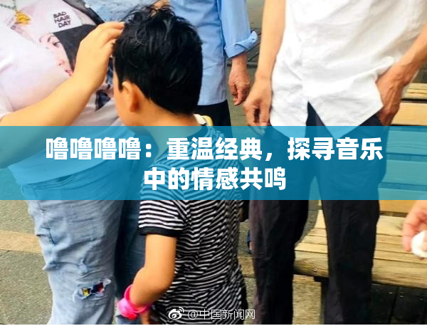 噜噜噜噜：重温经典，探寻音乐中的情感共鸣