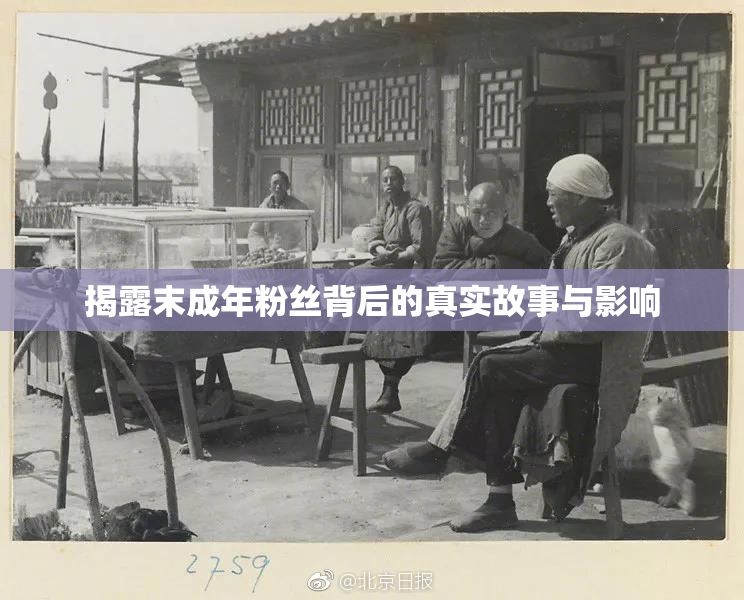 揭露末成年粉丝背后的真实故事与影响