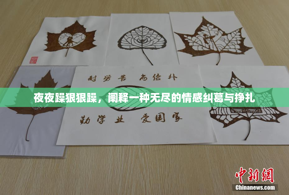 夜夜躁狠狠躁，阐释一种无尽的情感纠葛与挣扎