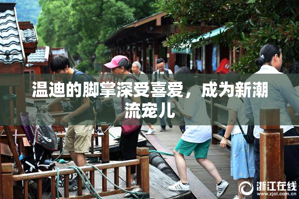 温迪的脚掌深受喜爱，成为新潮流宠儿